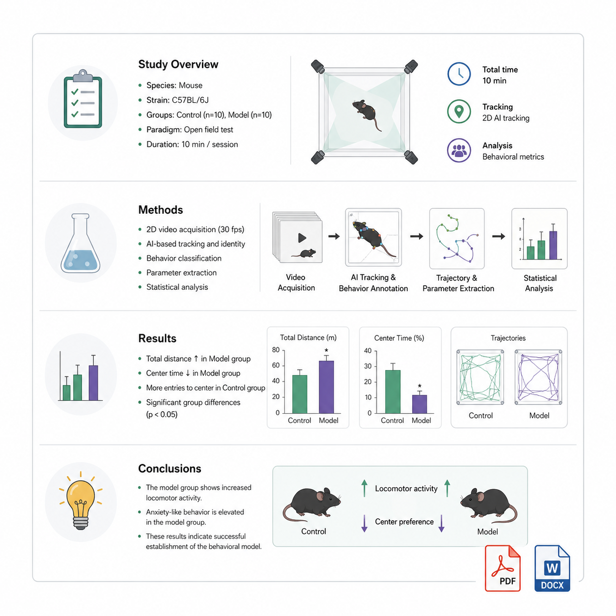Analysis Report