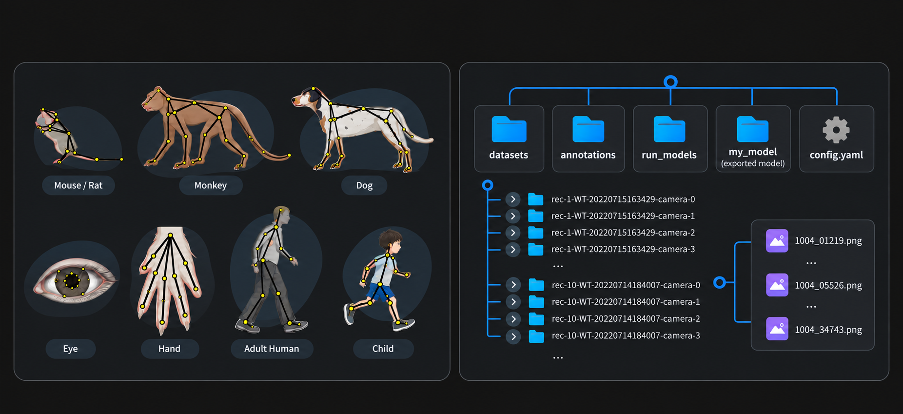 BehaviorAtlas Pose Labeler