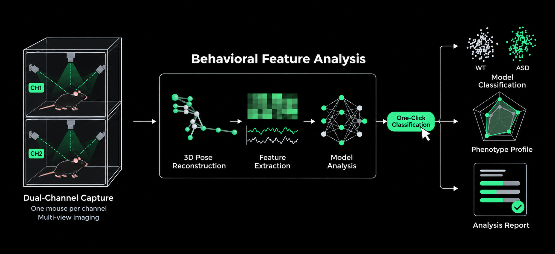 Autism Model Mouse Behavior System