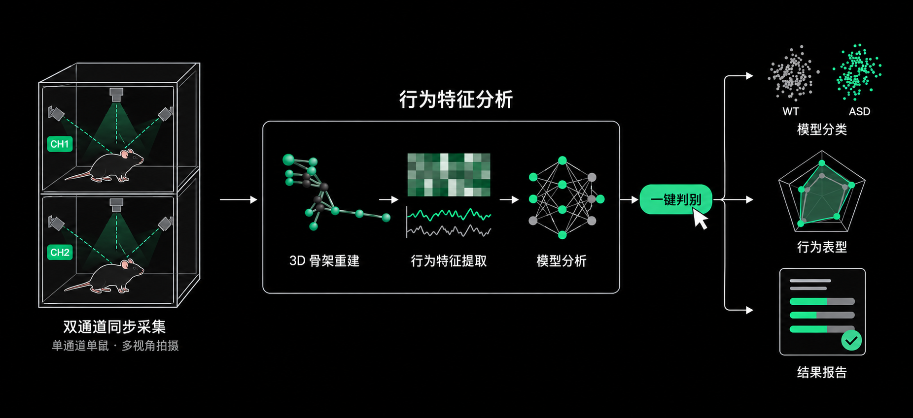 孤独症模型小鼠行为系统