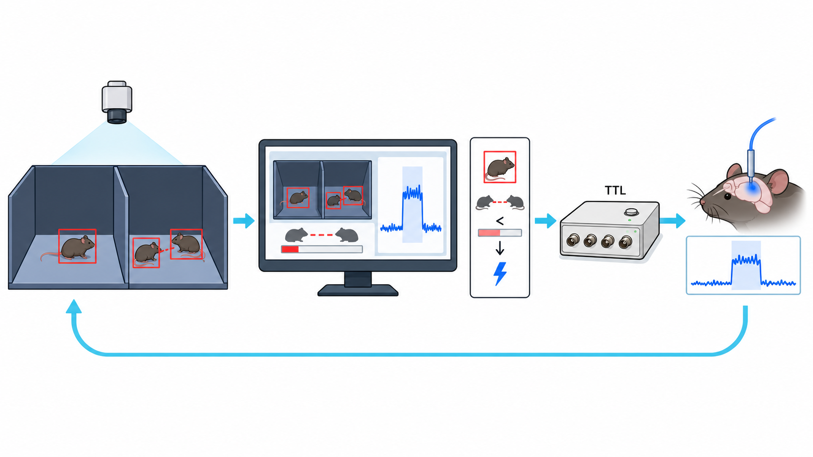 Multi-animal tracking & social-distance loop