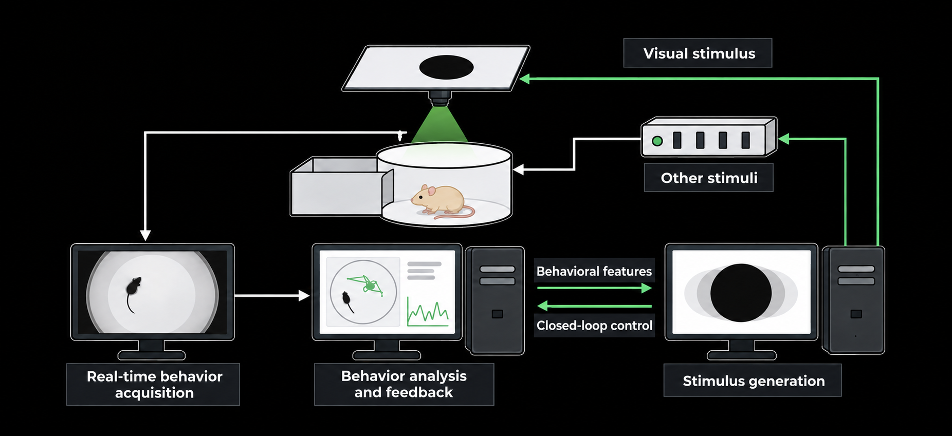 Closed-loop Mouse Looming Innate Fear System