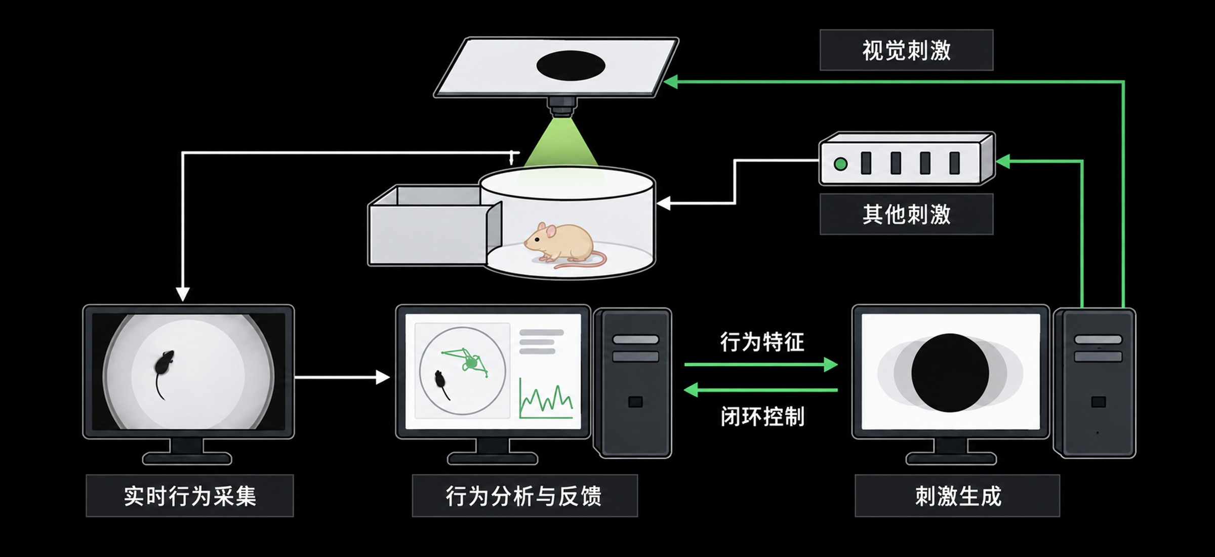 反馈式小鼠 Looming 本能恐惧系统