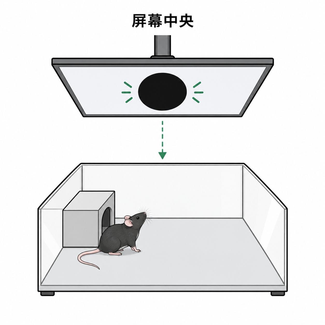 屏幕中央