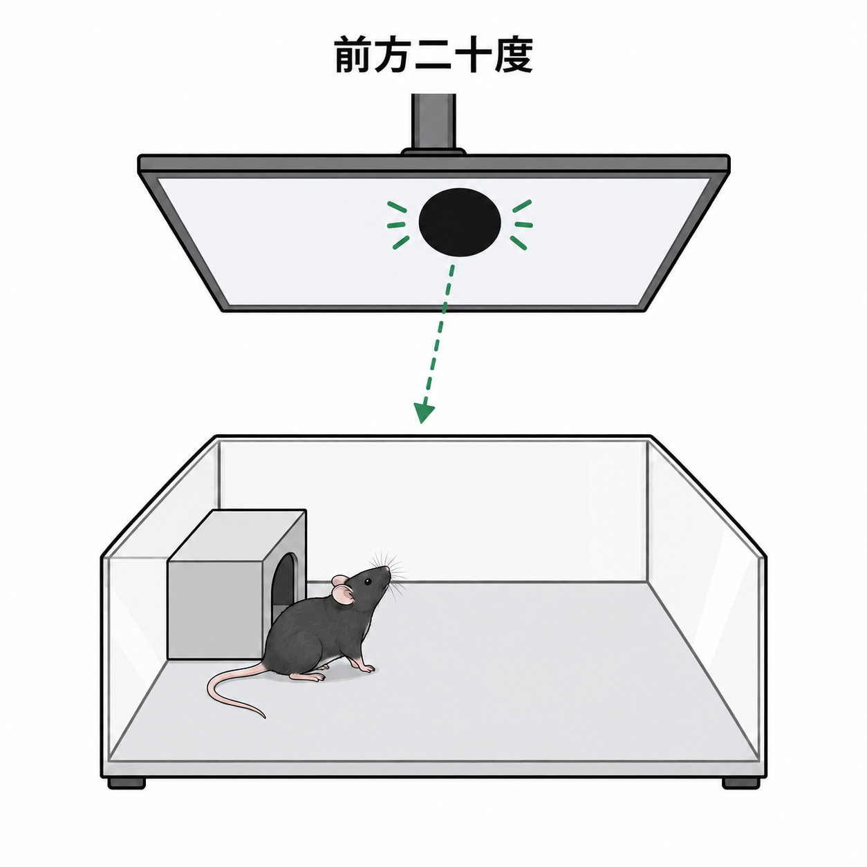 前方二十度