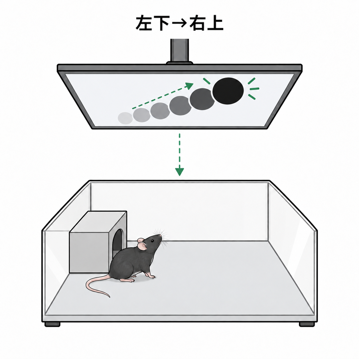 左下 → 右上