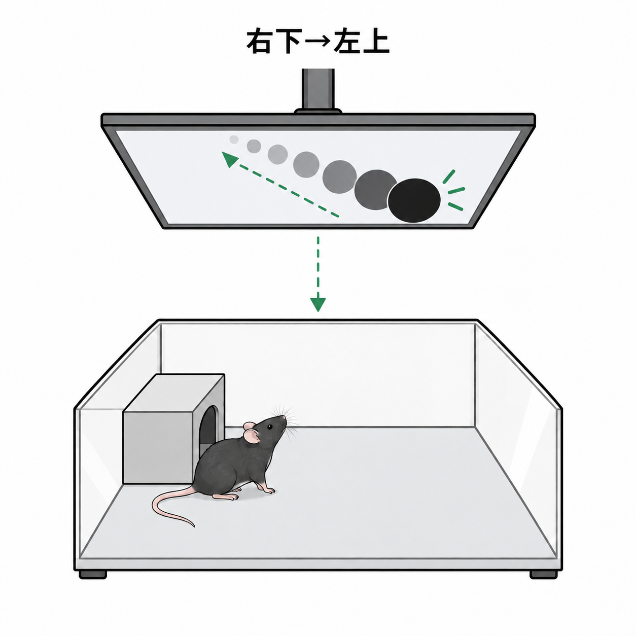 右下 → 左上