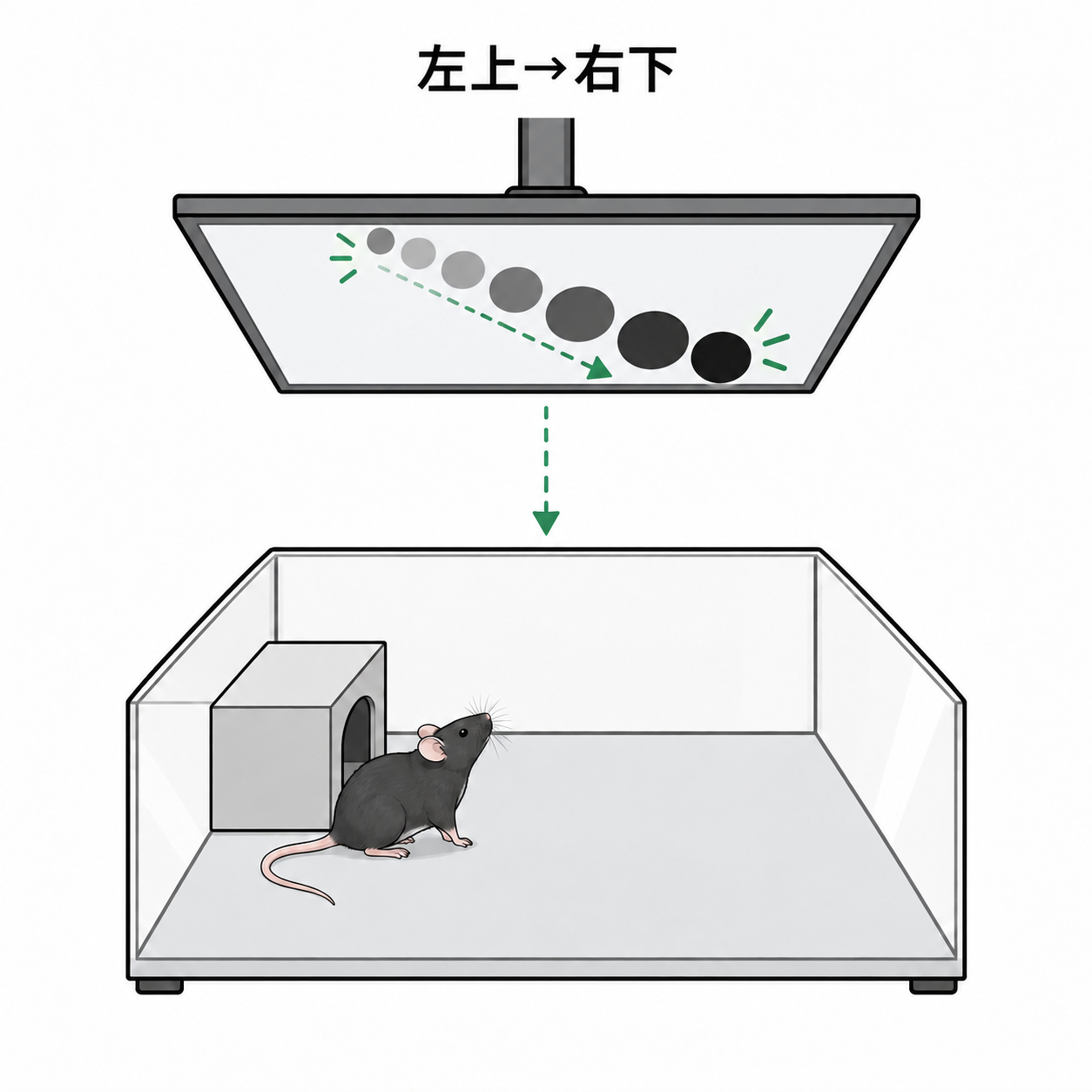 左上 → 右下