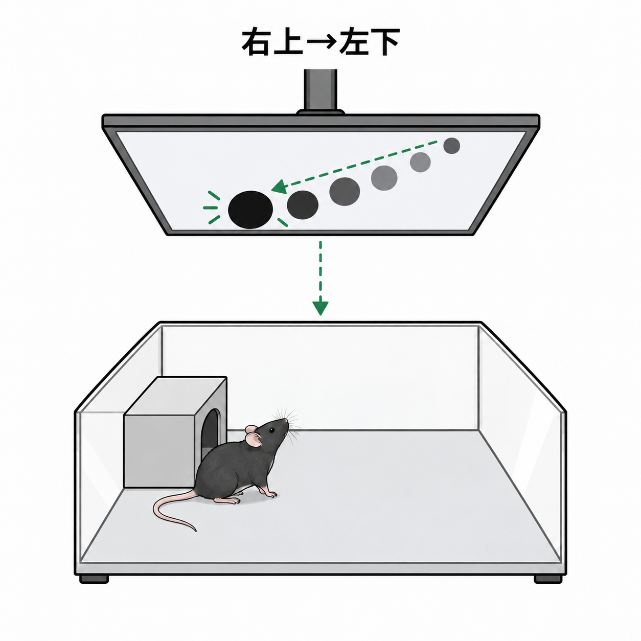 右上 → 左下