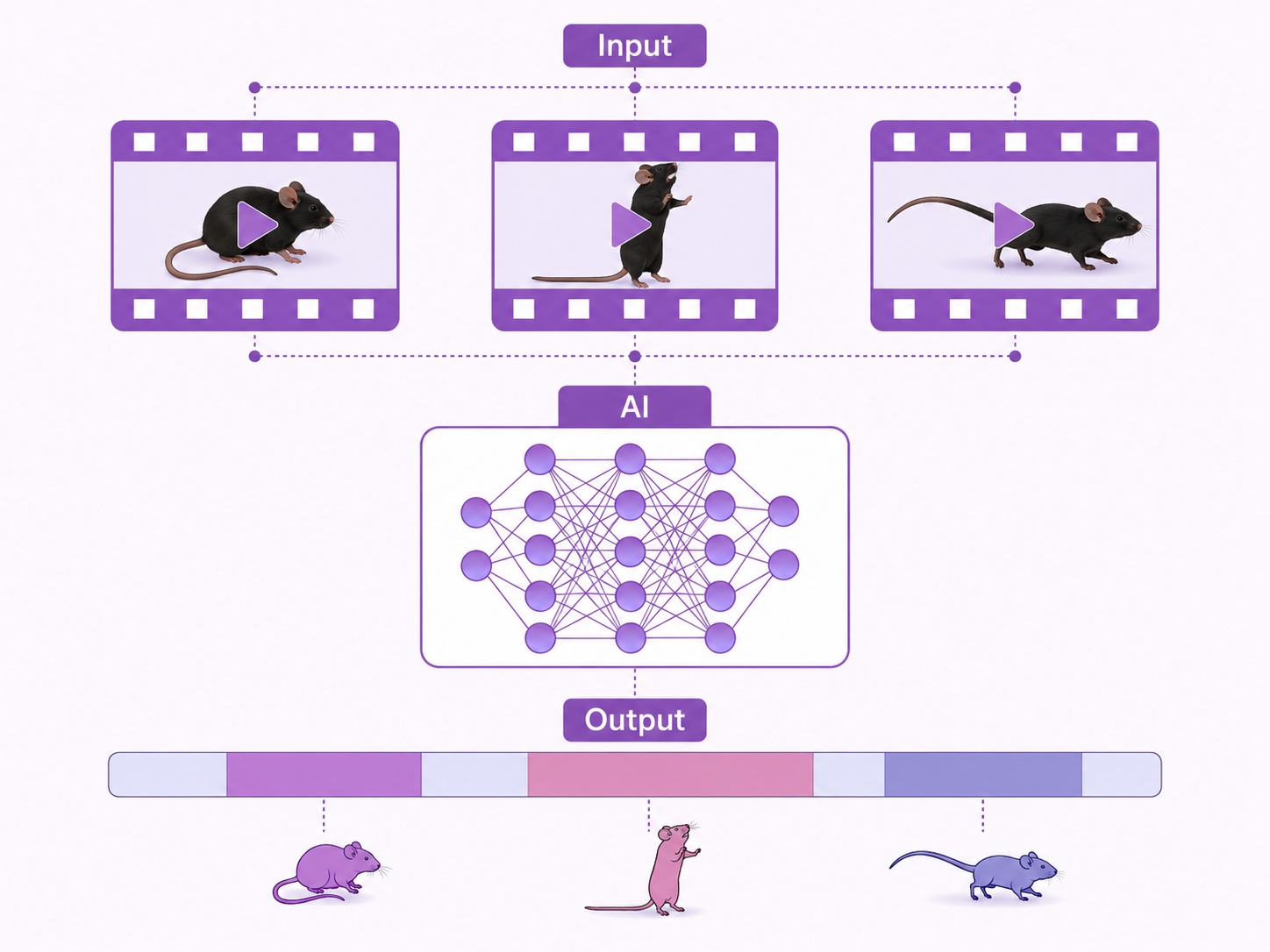 BehaviorAtlas BehaviorScope · 单只小鼠