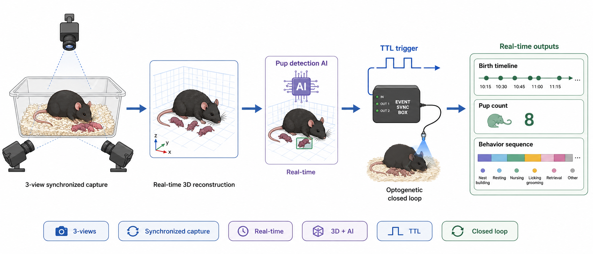 BehaviorAtlas Parturition Mouse