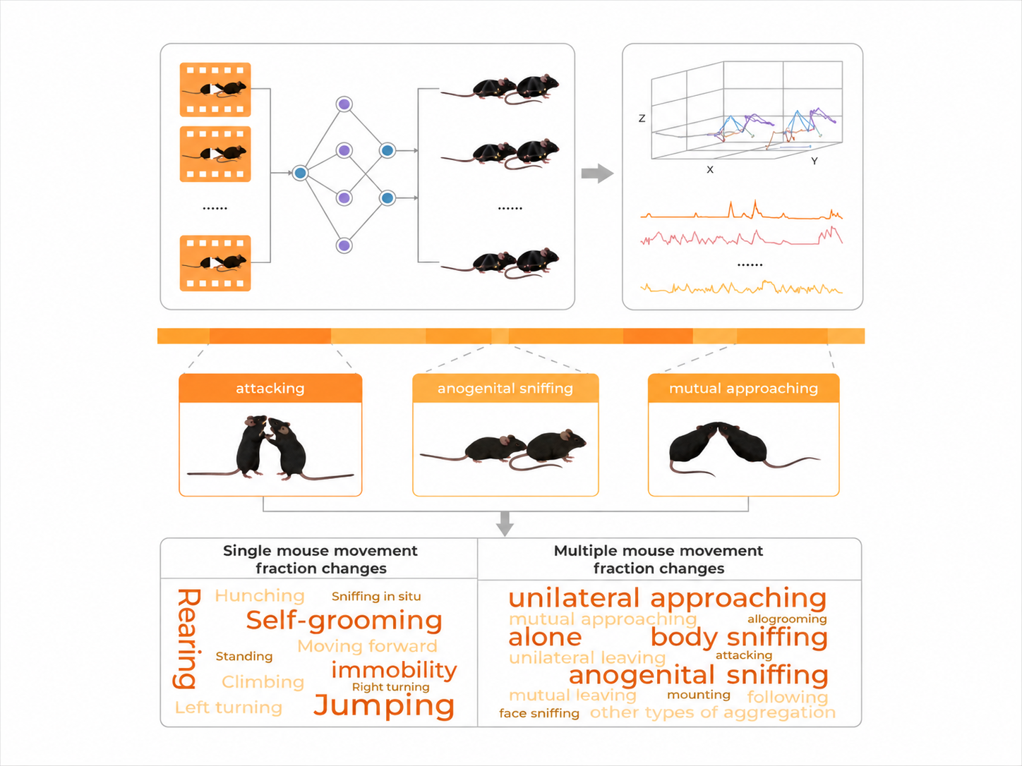 BehaviorAtlas 3D Social Analyzer · Mice