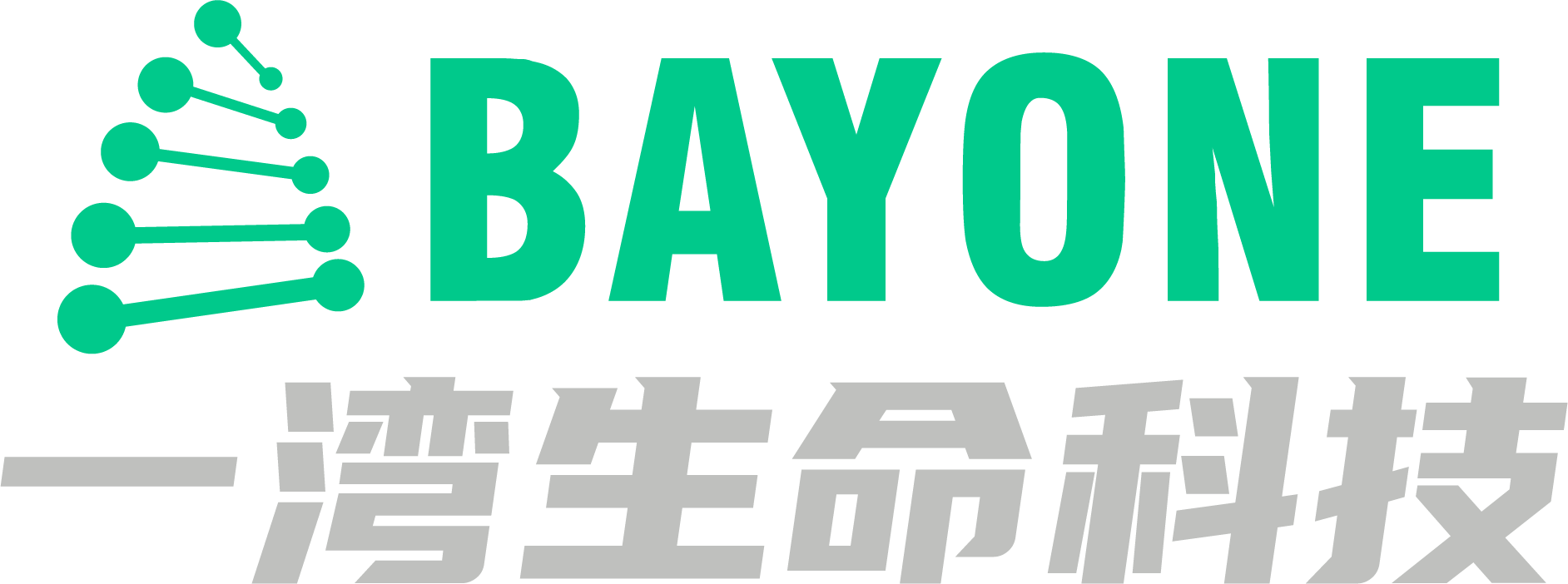 BayOne