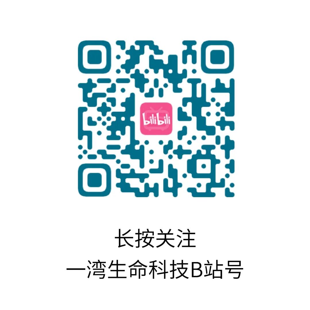 开发团队 6