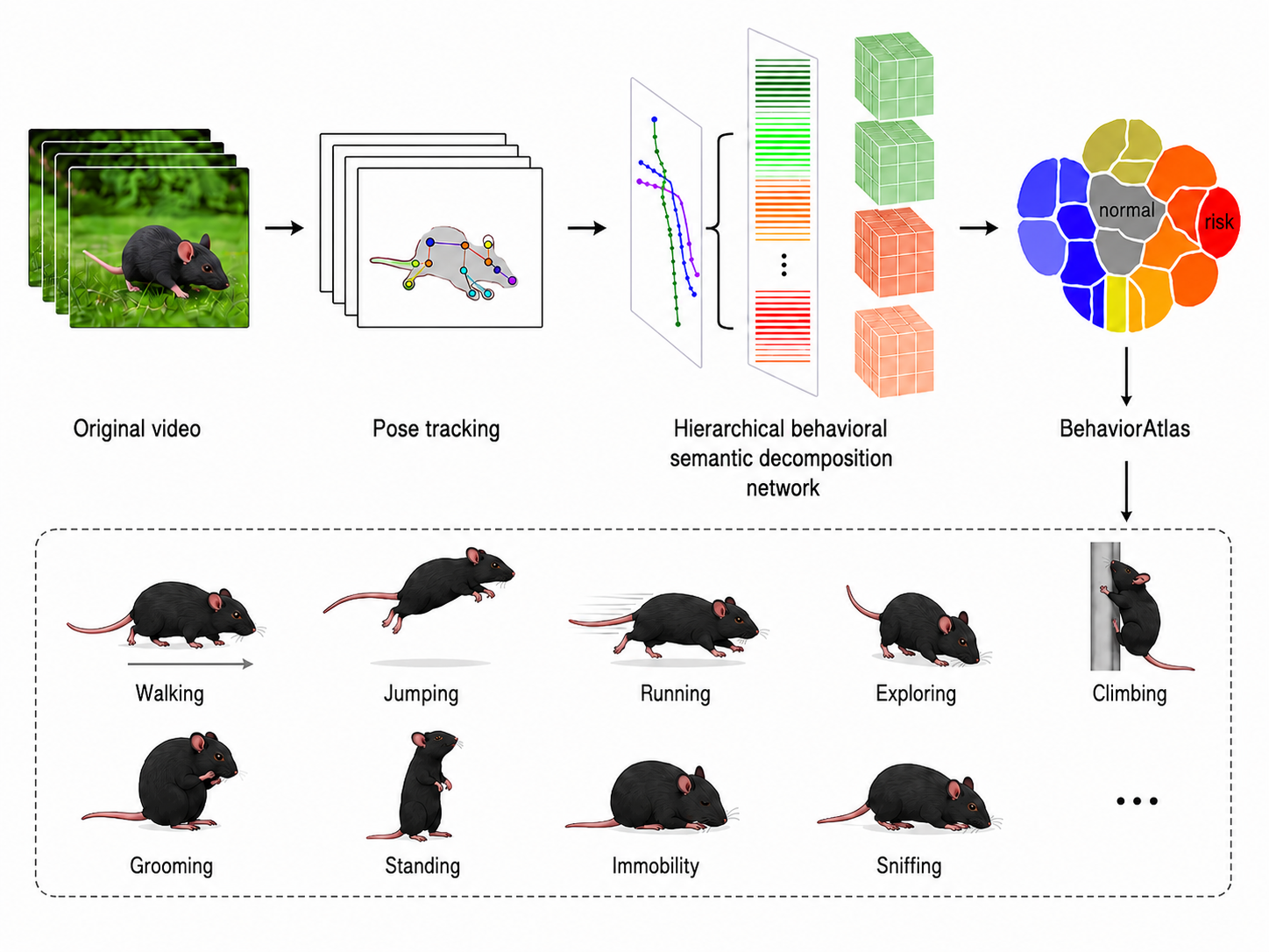 3D-AI 精细行为分析系统
