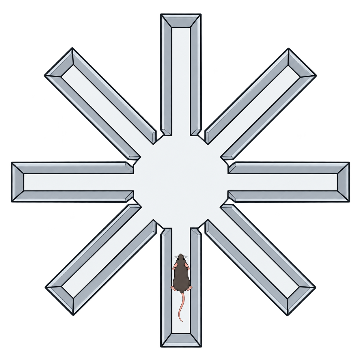 放射臂迷宫
