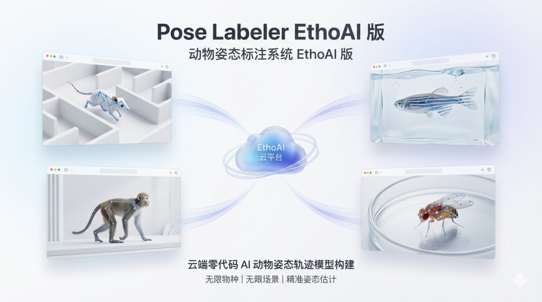云端训练更高效