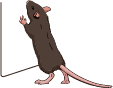 攀爬