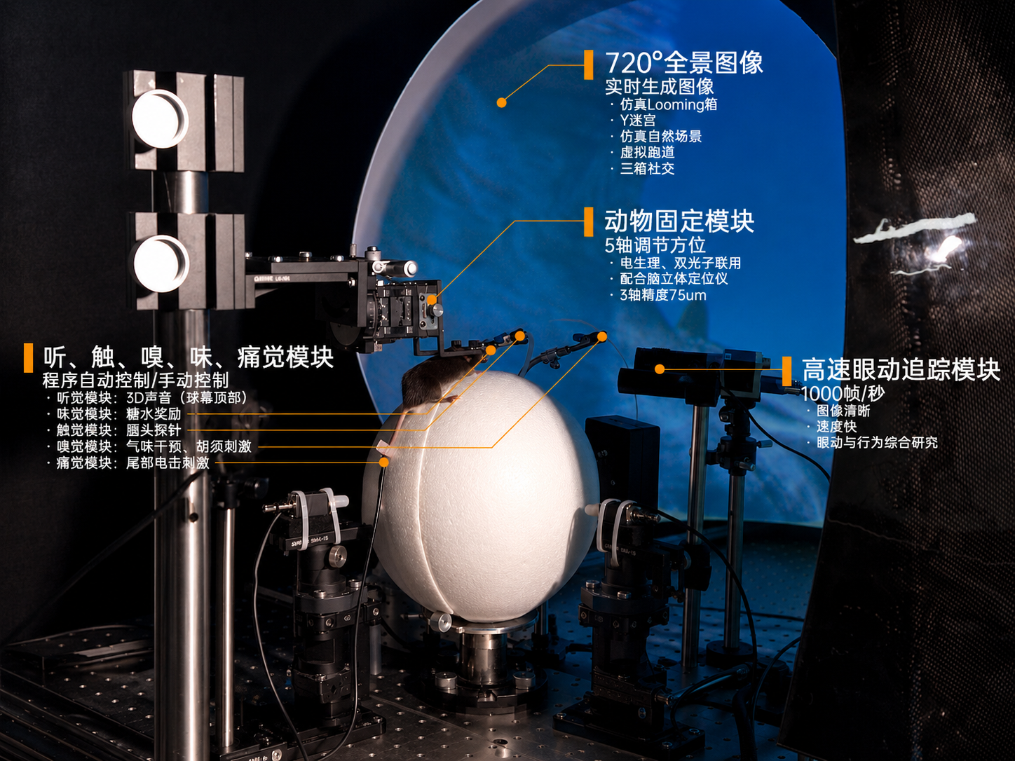 VR 硬件模块