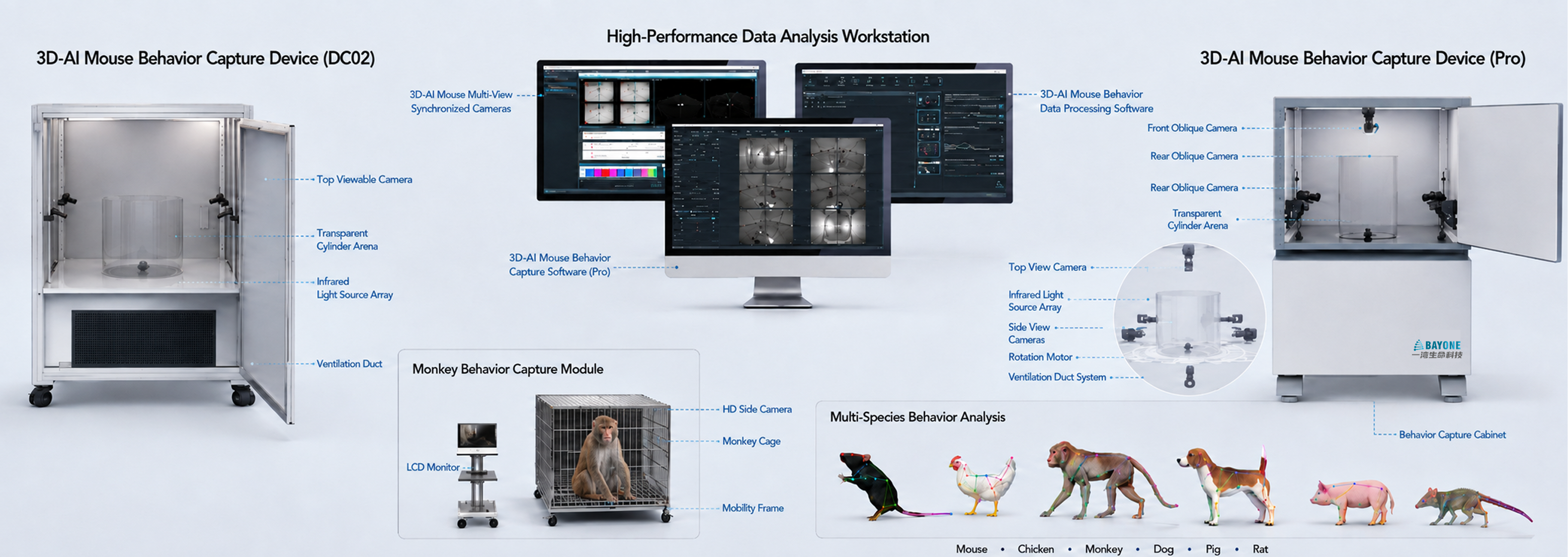 3D-AI 精细行为分析系统