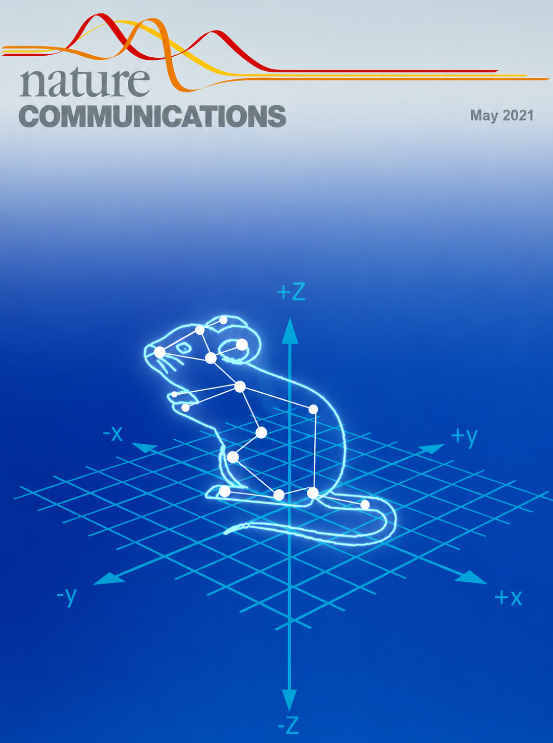 A hierarchical 3D-motion learning framework for animal spontaneous behavior mapping