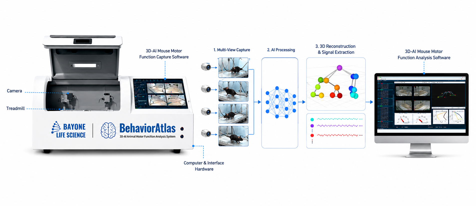 3D Motion Function Analysis System
