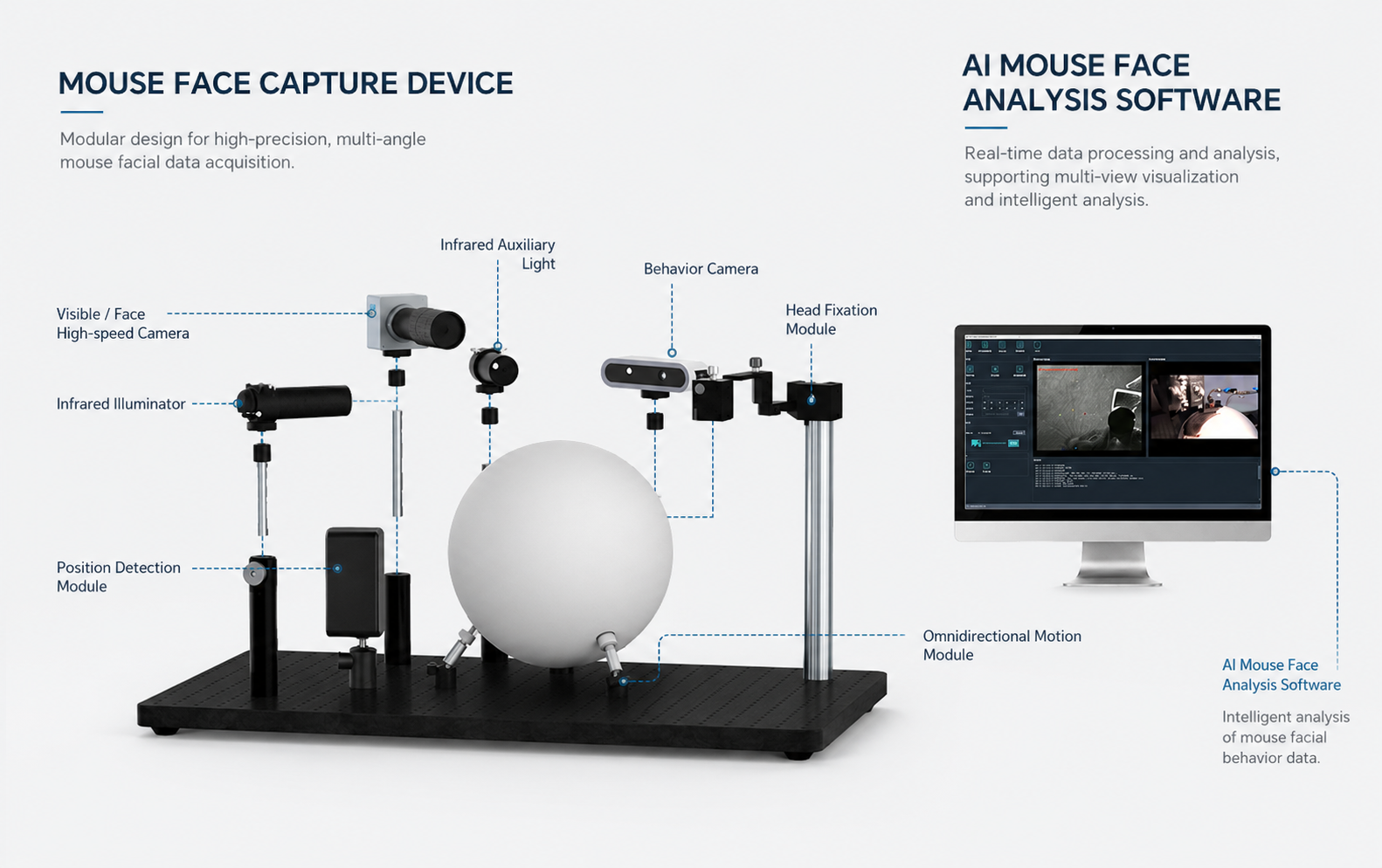 AI Mouse Face Analysis System